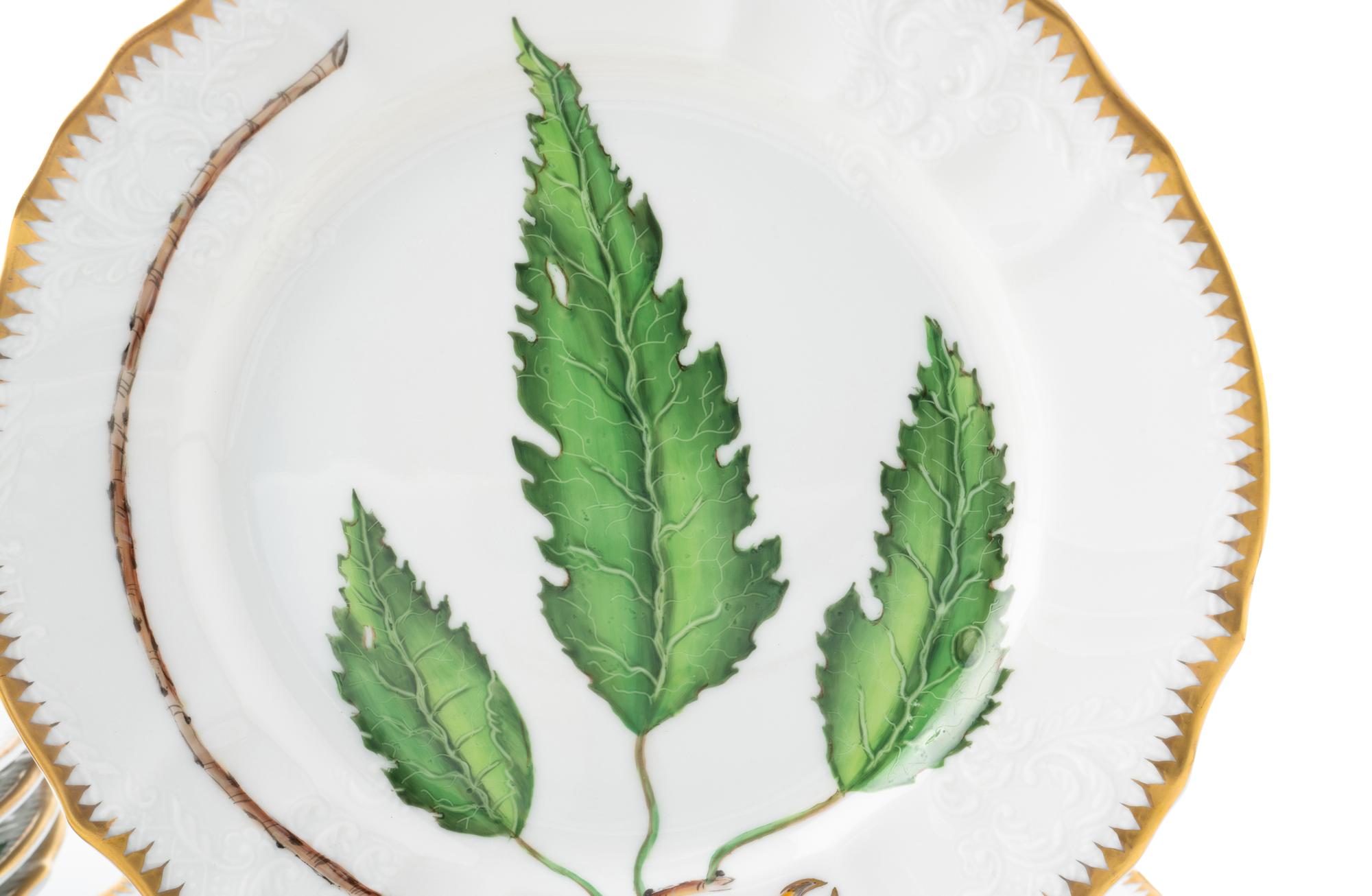 An Anna Weatherley Green Leaf Porcelain Dinner Service