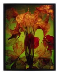 Floaters, Lune Ritual, Galaxy 1, and Standing Figure (a set of four works)