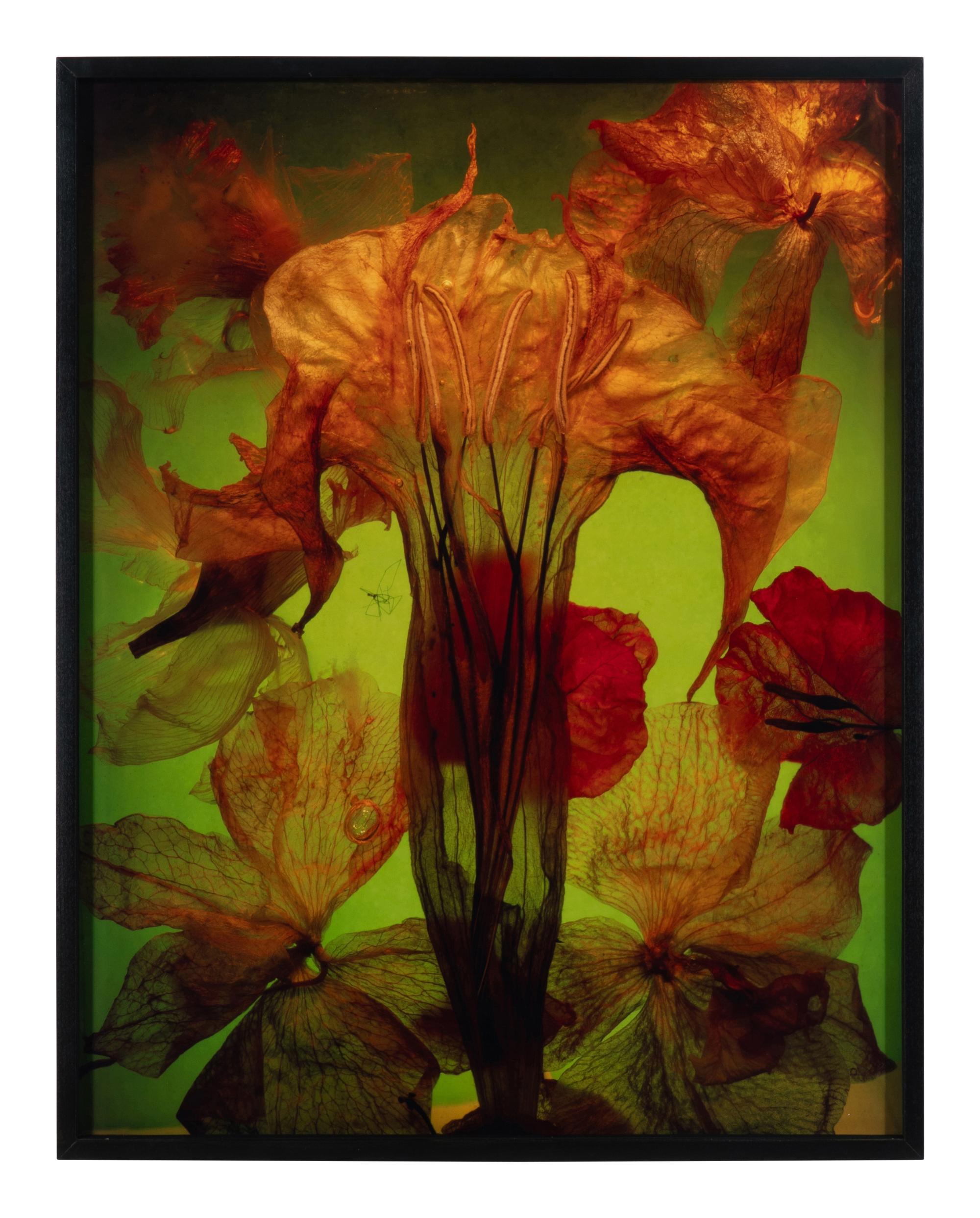 Floaters, Lune Ritual, Galaxy 1, and Standing Figure (a set of four works)