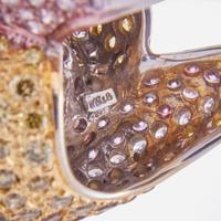 An 18K White Gold and Multi-Color Diamond Ring