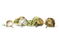 Four Victorian Style Seed Work Floral Bouquets