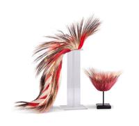 Plains Porcupine Hair Roaches