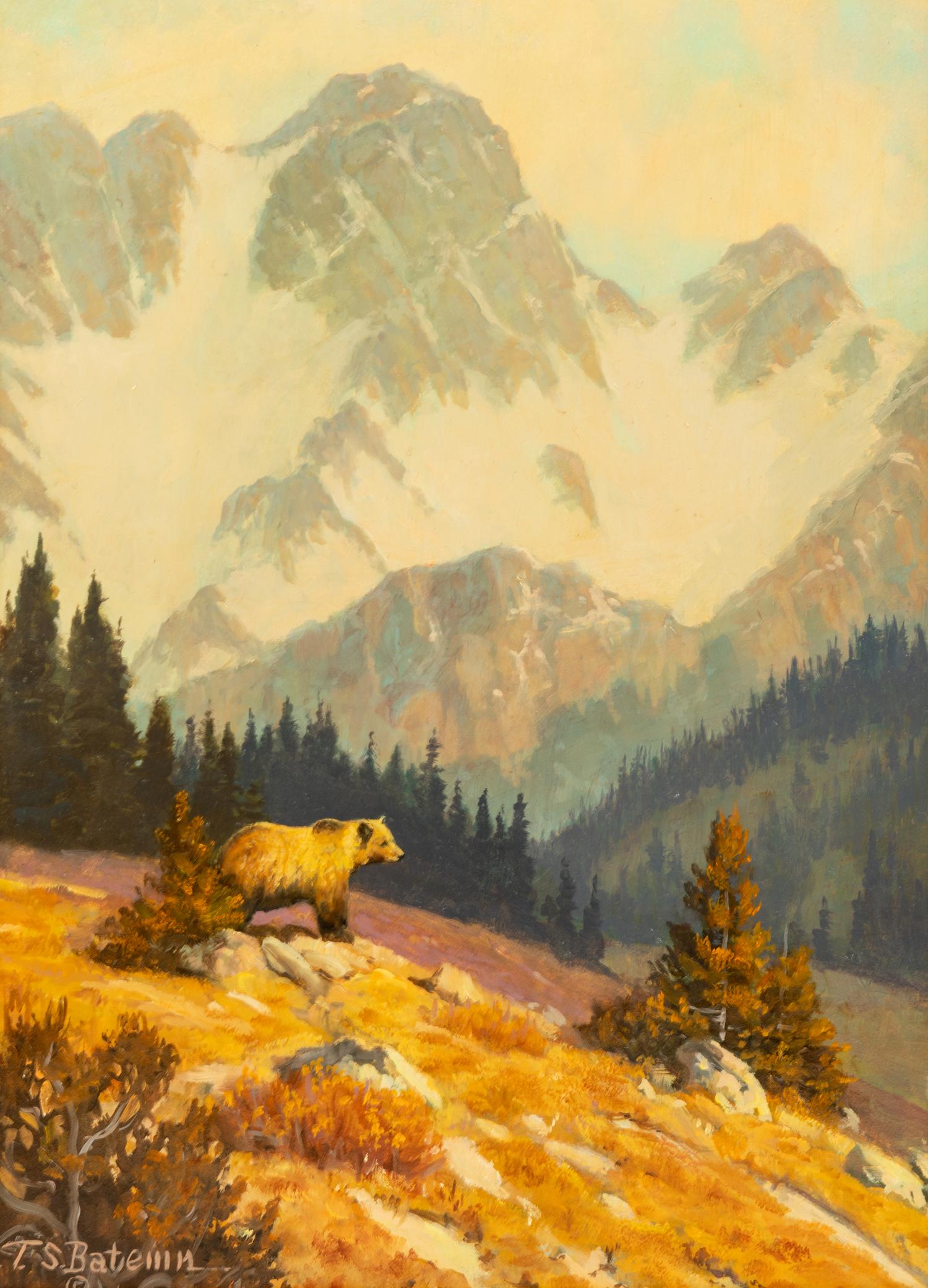 High Country Wanderer