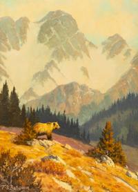 High Country Wanderer