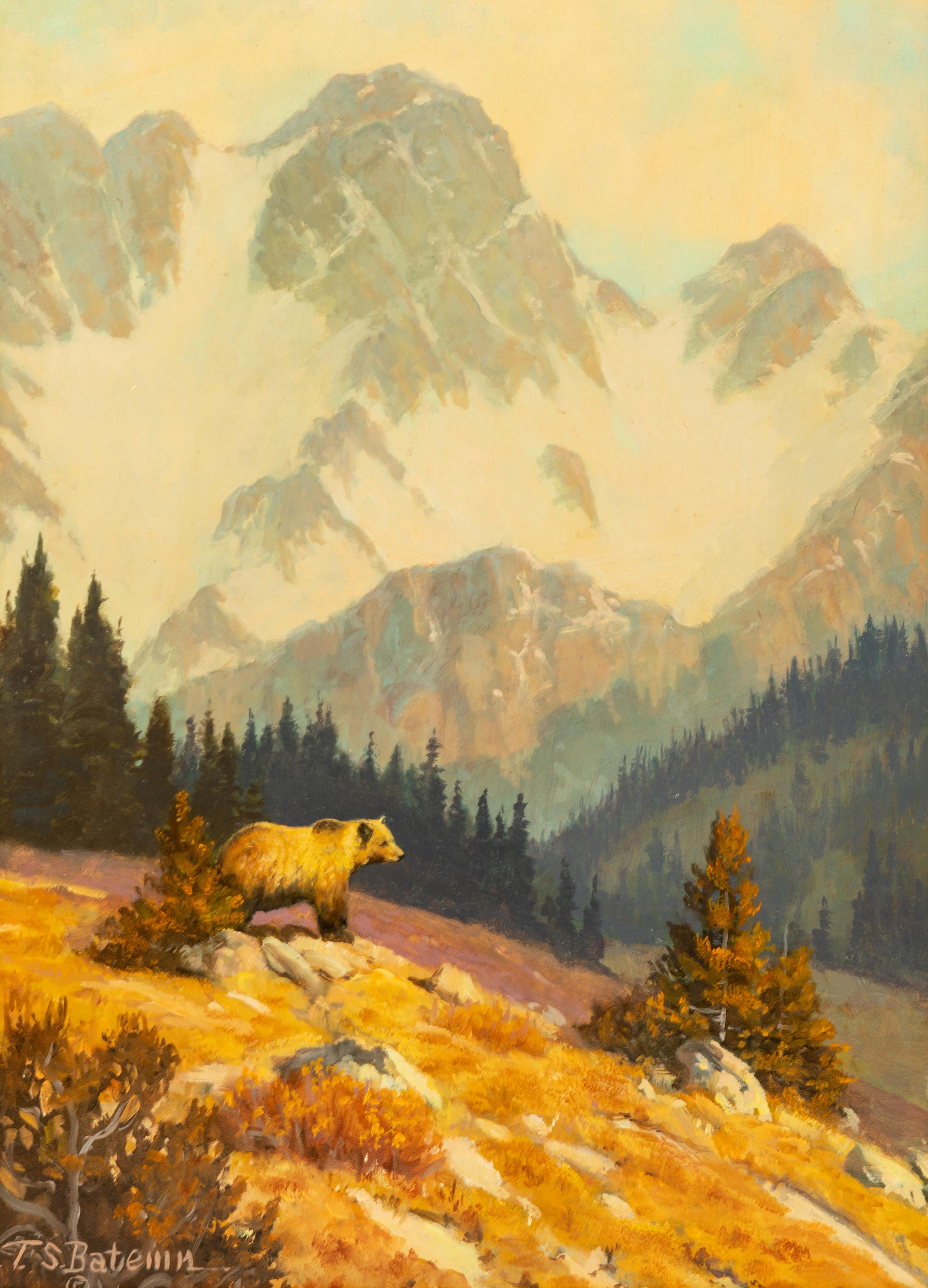 High Country Wanderer
