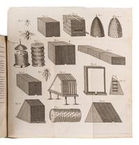 [BEES]. A group of 5 works about bees, comprising: