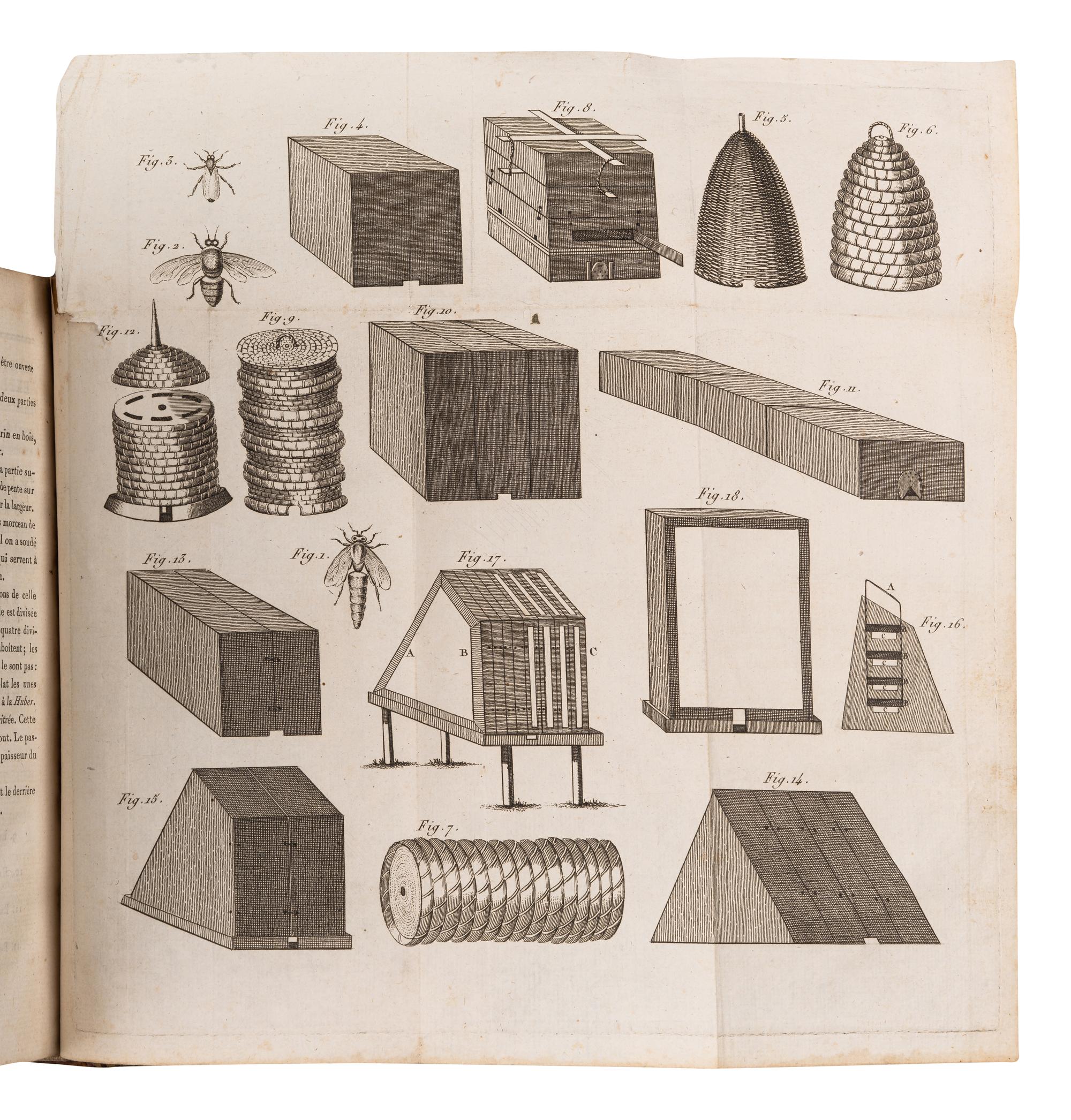[BEES]. A group of 5 works about bees, comprising: