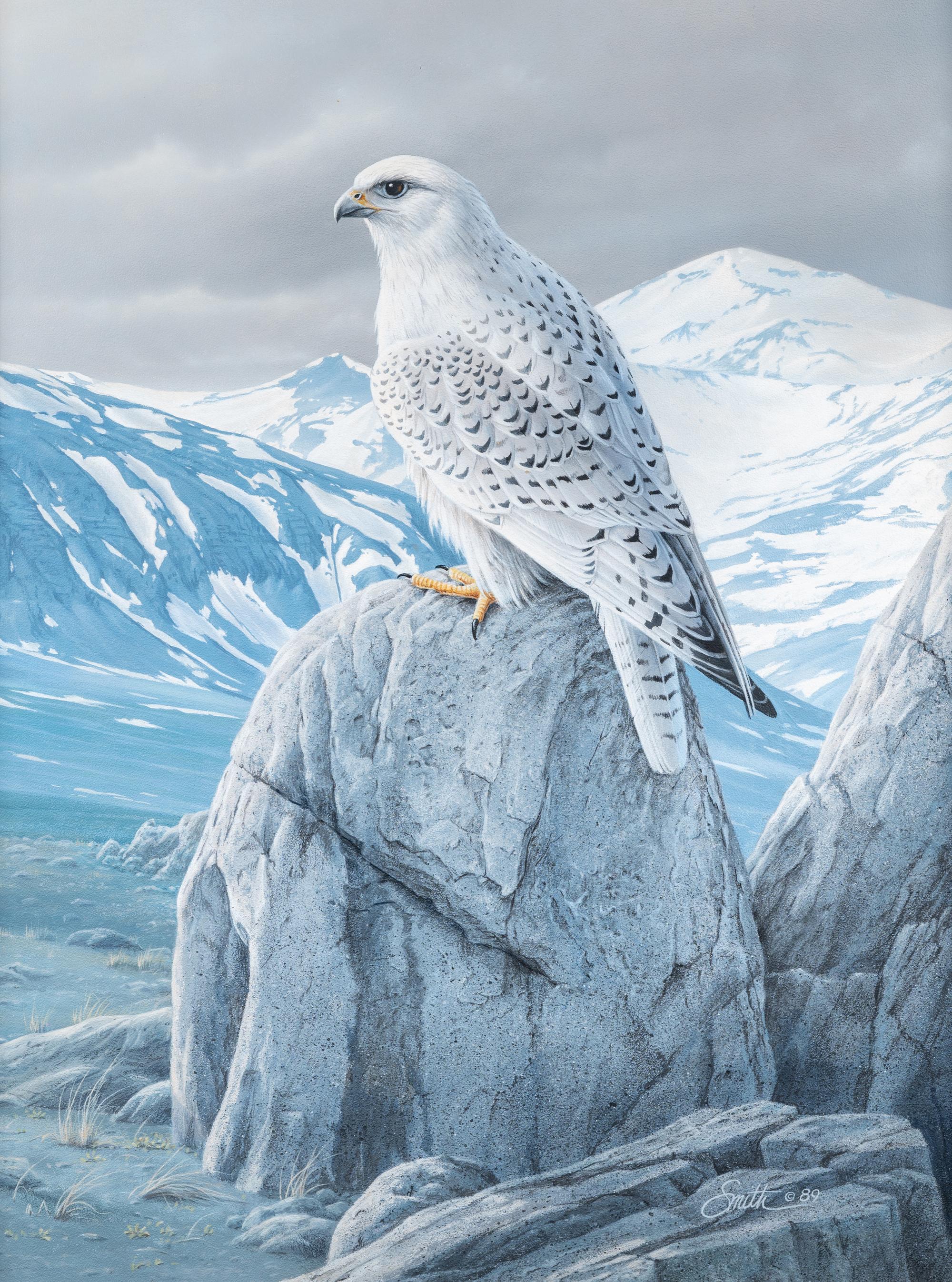 Arctic Sentry- White Gyrfalcon