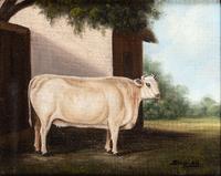 A Pair of Bovine Portraits