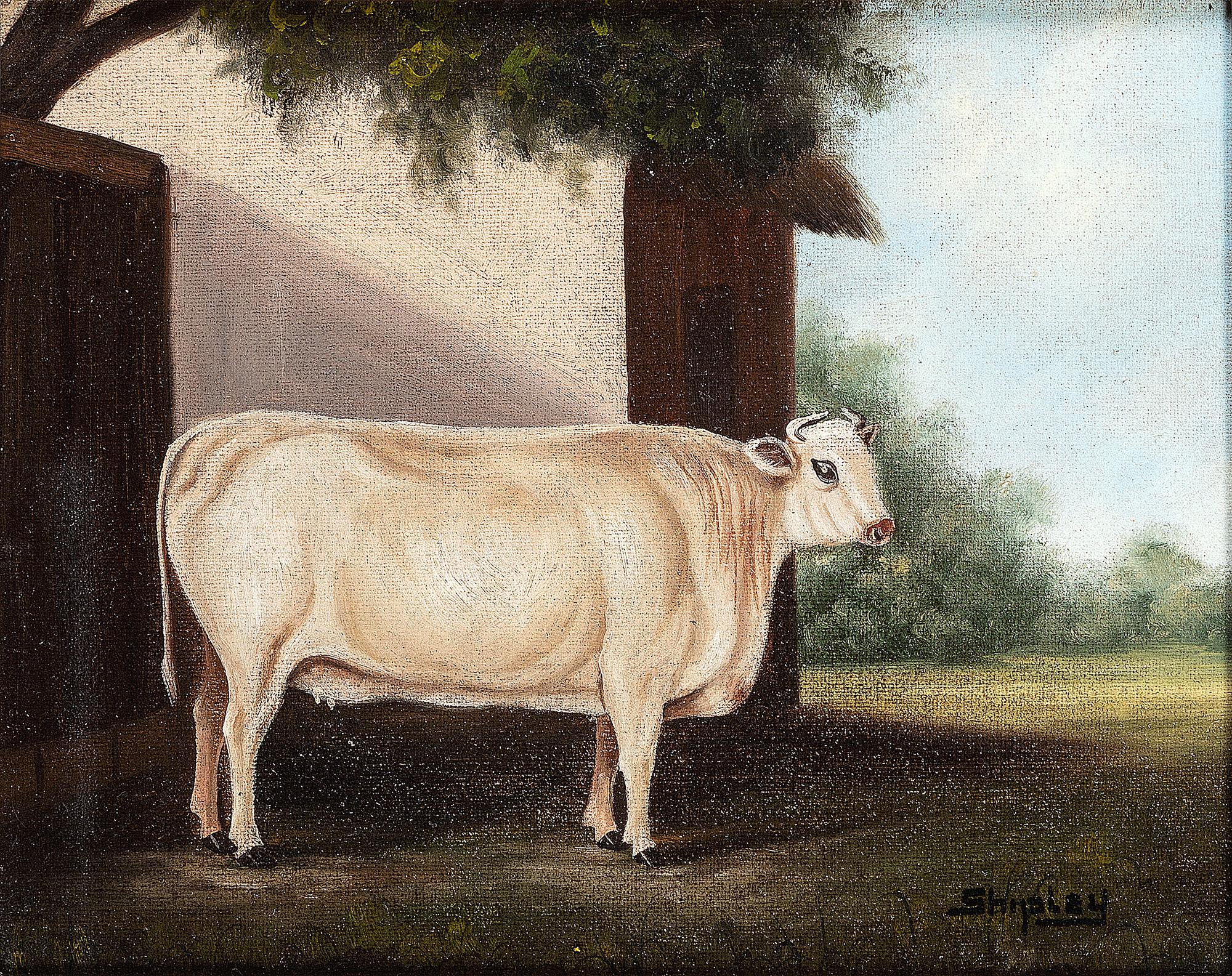 A Pair of Bovine Portraits