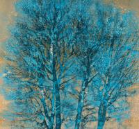 Jochi Hoshi (Japanese, 1913-1979)