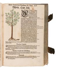 [NATURAL HISTORY]. BOCK, Hieronymus (1489?-1554). Kreutterbuch. Strassburg: Josias Rihel, 28 August 1595.