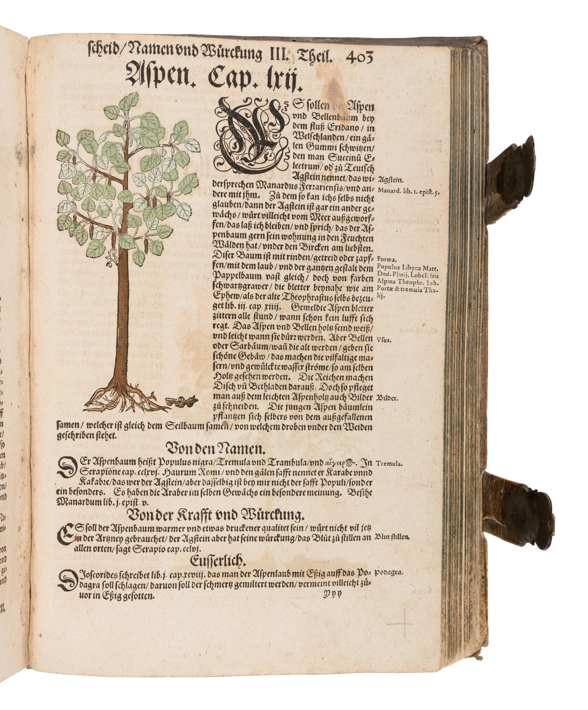 [NATURAL HISTORY]. BOCK, Hieronymus (1489?-1554). Kreutterbuch. Strassburg: Josias Rihel, 28 August 1595.