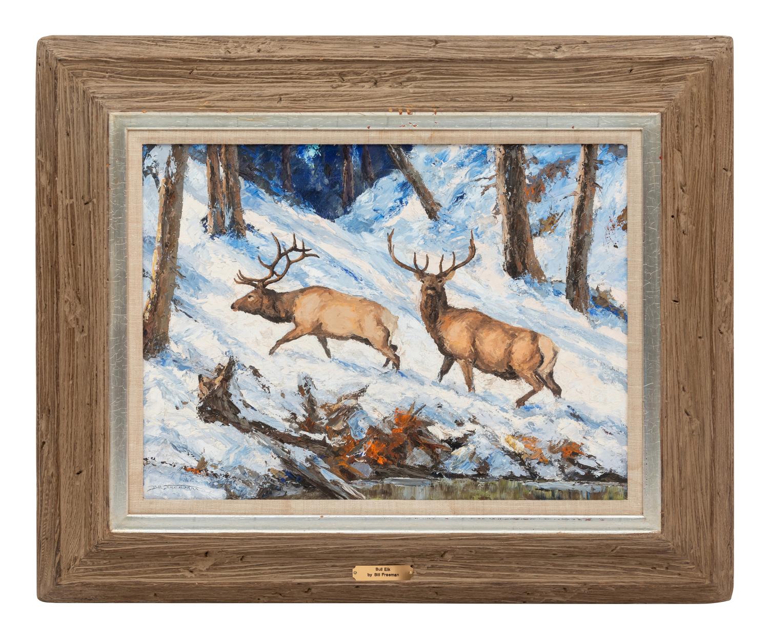 Bull Elks