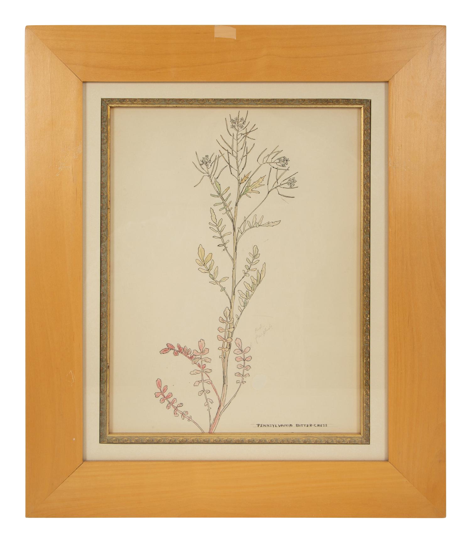 Eighteen Botanical Watercolors