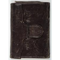 Civil War Diary of Thomas Mains, 33rd Independent Battery, Light Artillery, NYSV