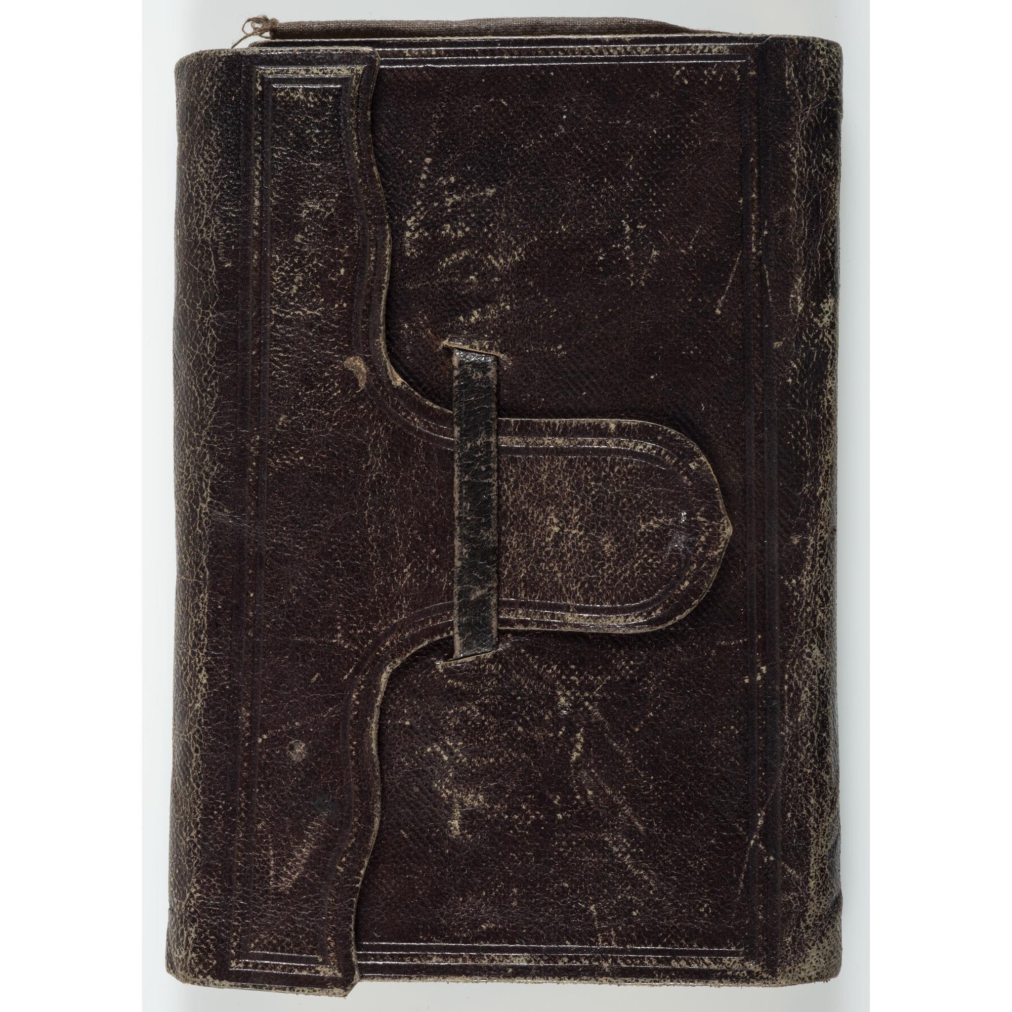 Civil War Diary of Thomas Mains, 33rd Independent Battery, Light Artillery, NYSV