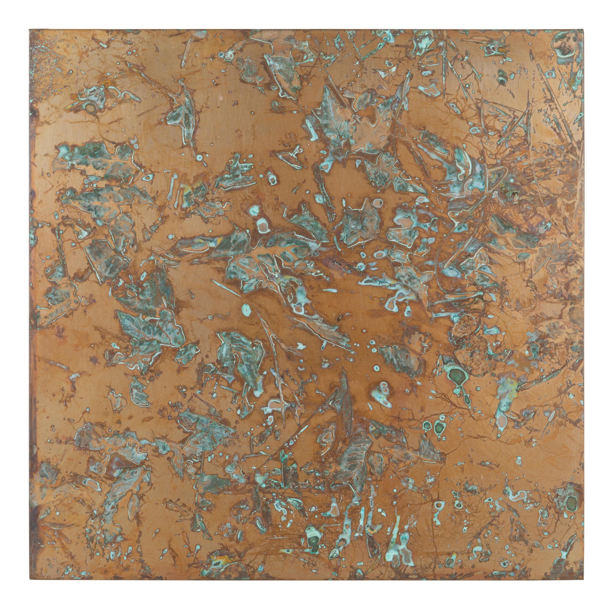 From Forest Mapping Series