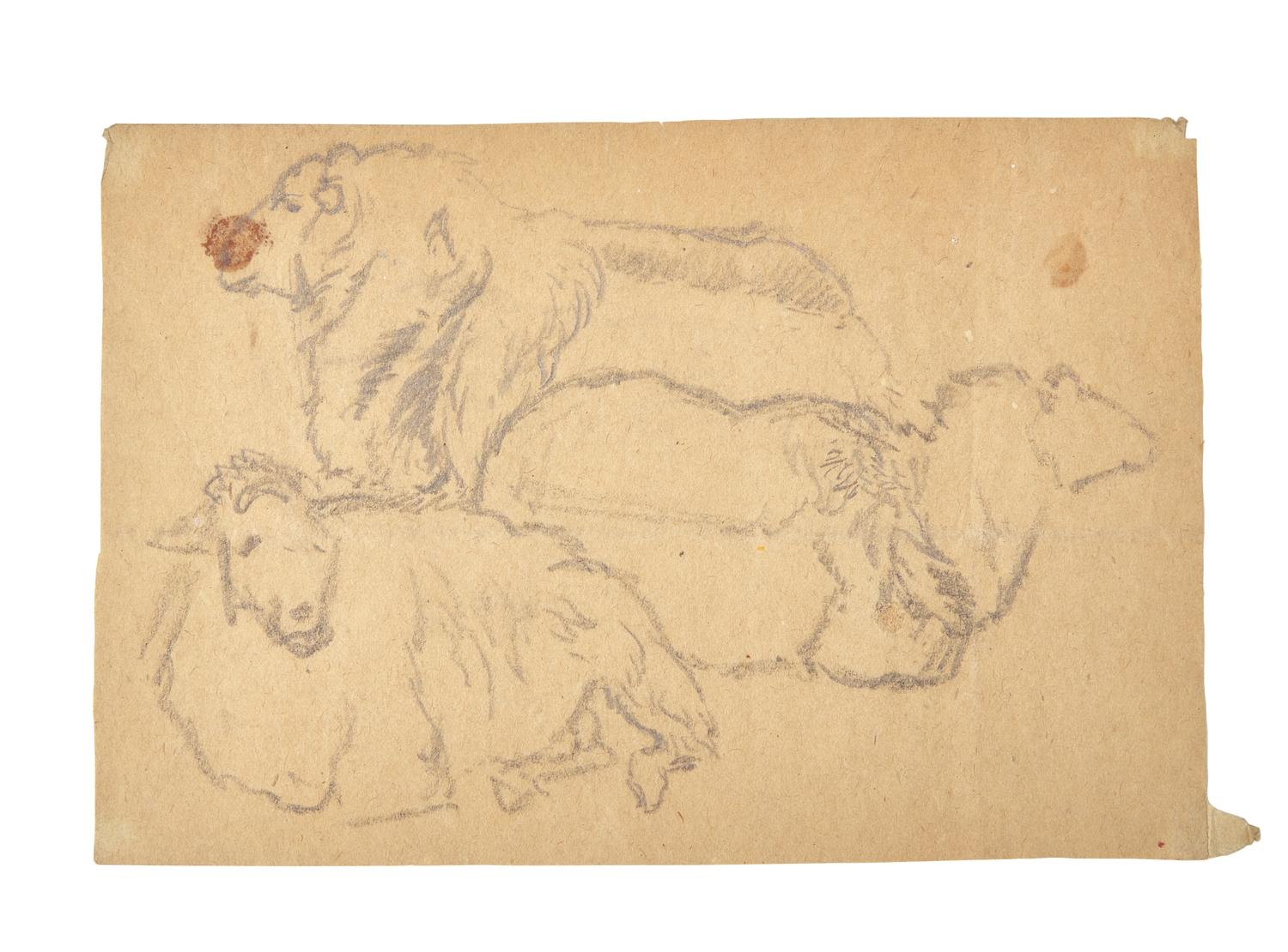 Farm Animal Studies: F older of Eighteen (18) Pencil Drawings