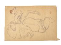 Farm Animal Studies: F older of Eighteen (18) Pencil Drawings