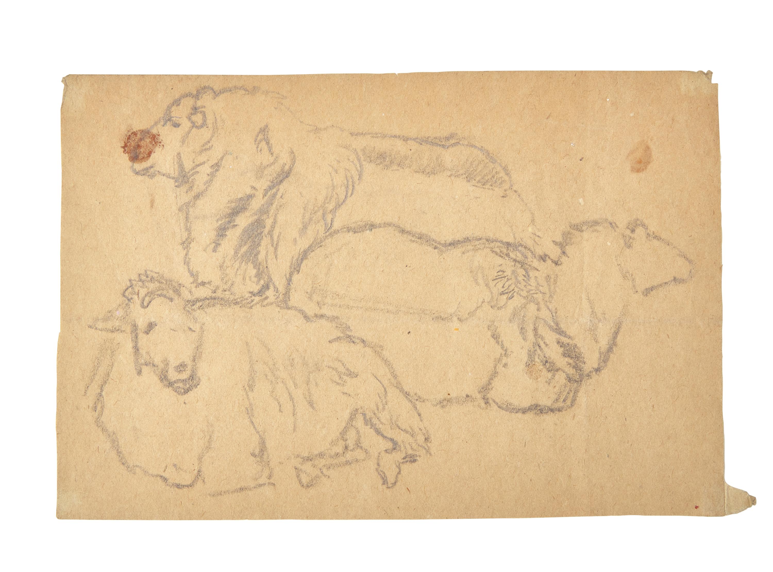 Farm Animal Studies: F older of Eighteen (18) Pencil Drawings