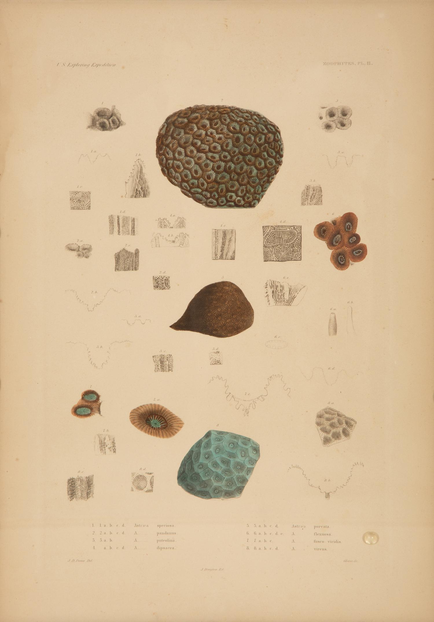 A Set of Four Framed Hand Colored Engravings