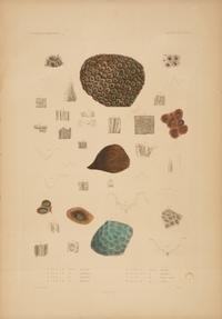 A Set of Four Framed Hand Colored Engravings