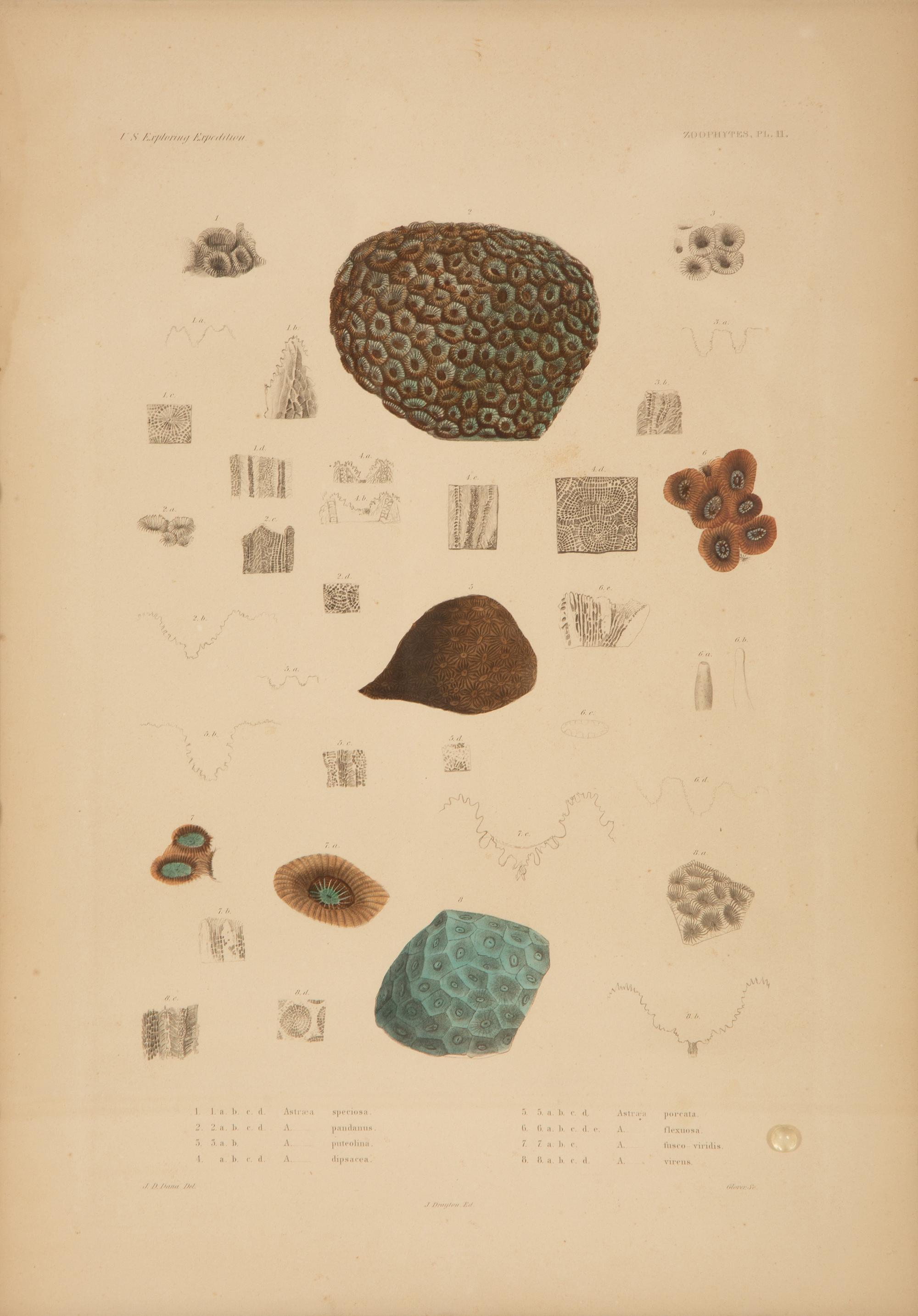 A Set of Four Framed Hand Colored Engravings