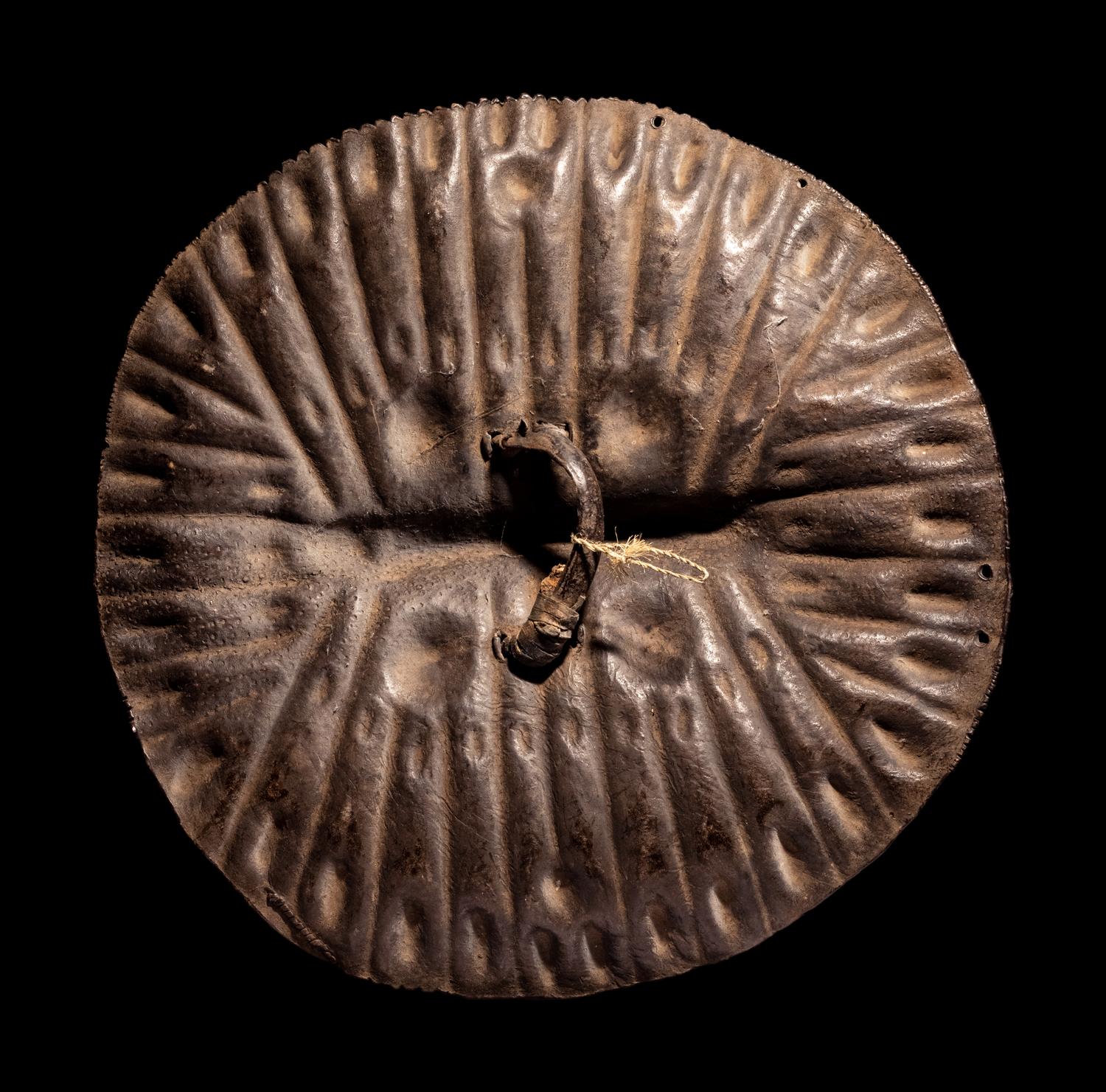 An Amarro Hide Shield