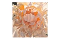 Peony , 1998