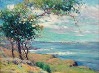 Cypress Trees at Carmel