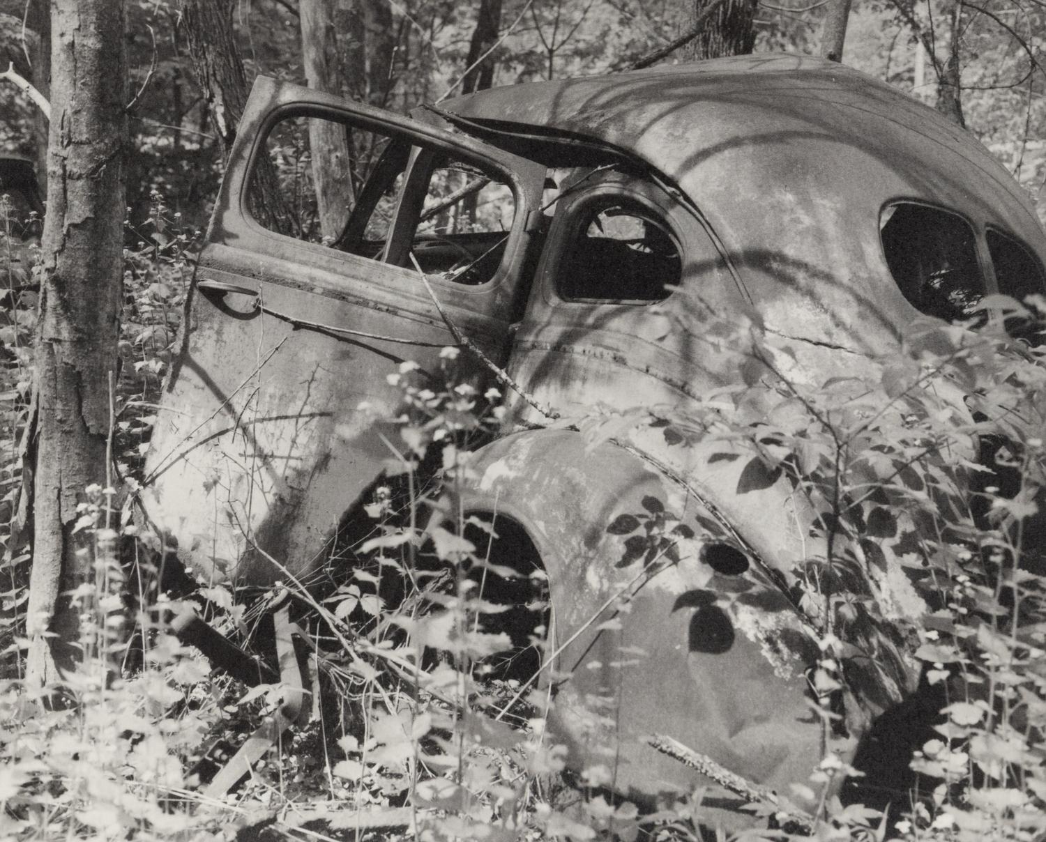 A group of fourteen photographs