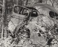 A group of fourteen photographs