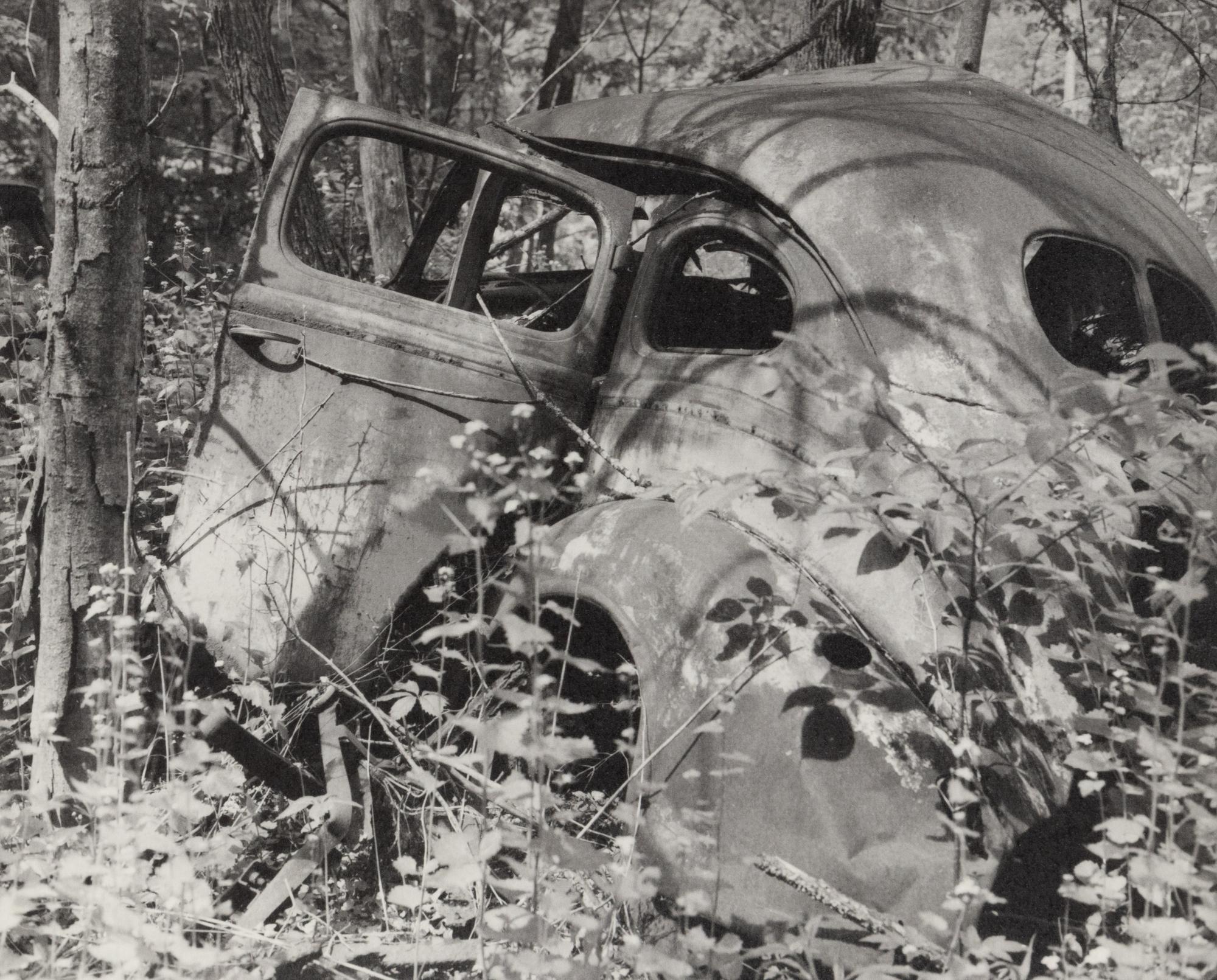 A group of fourteen photographs