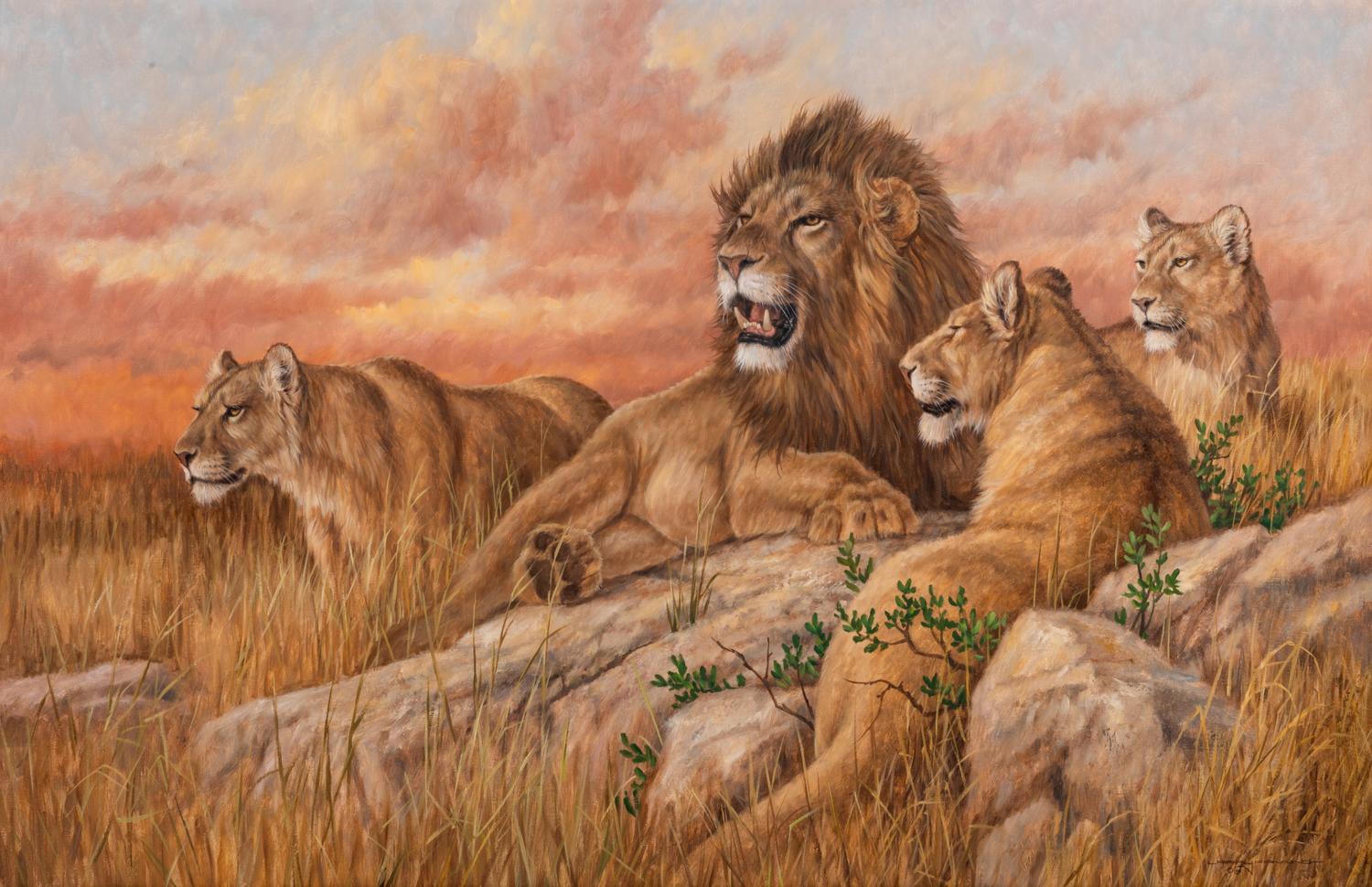 Lions