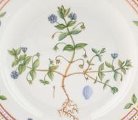 A Set of Eight Royal Copenhagen Flora Danica Porcelain Dinner Plates