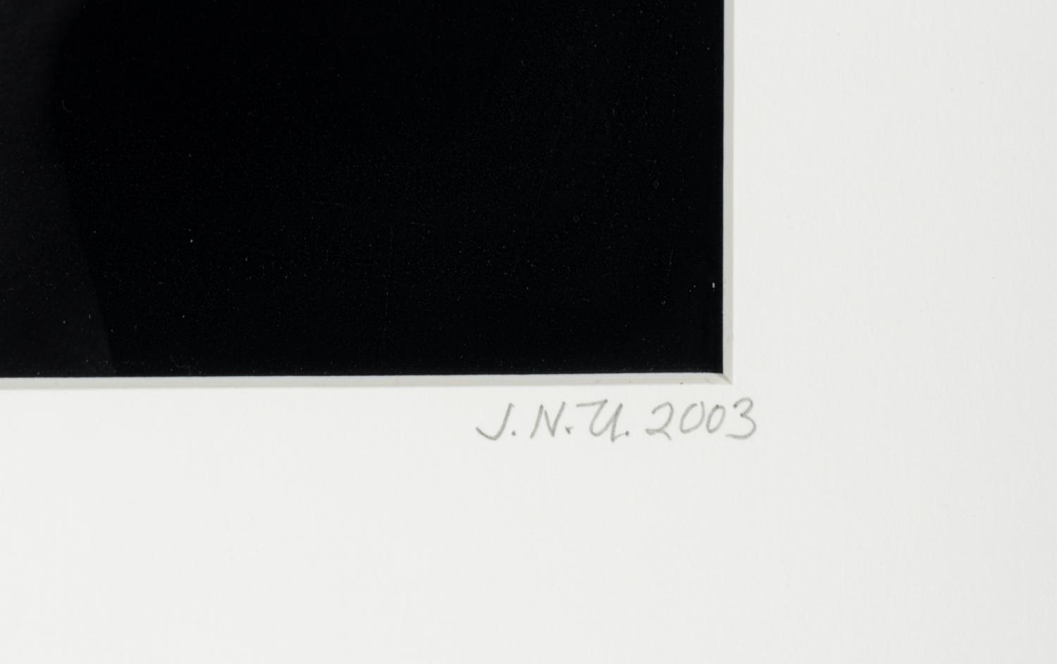 Untitled (Hands Emerging from Lake) , 2003