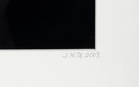 Untitled (Hands Emerging from Lake) , 2003