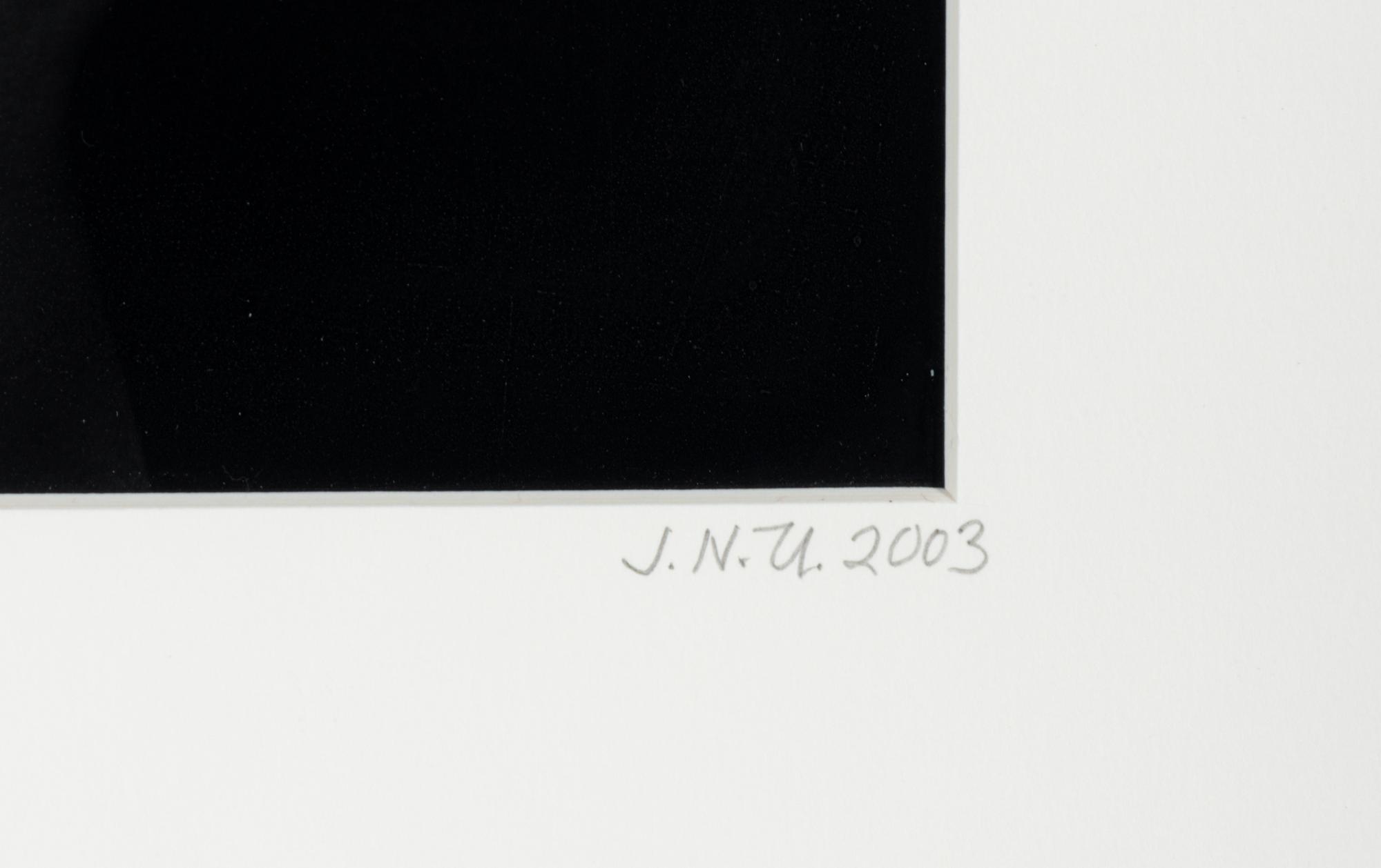 Untitled (Hands Emerging from Lake) , 2003