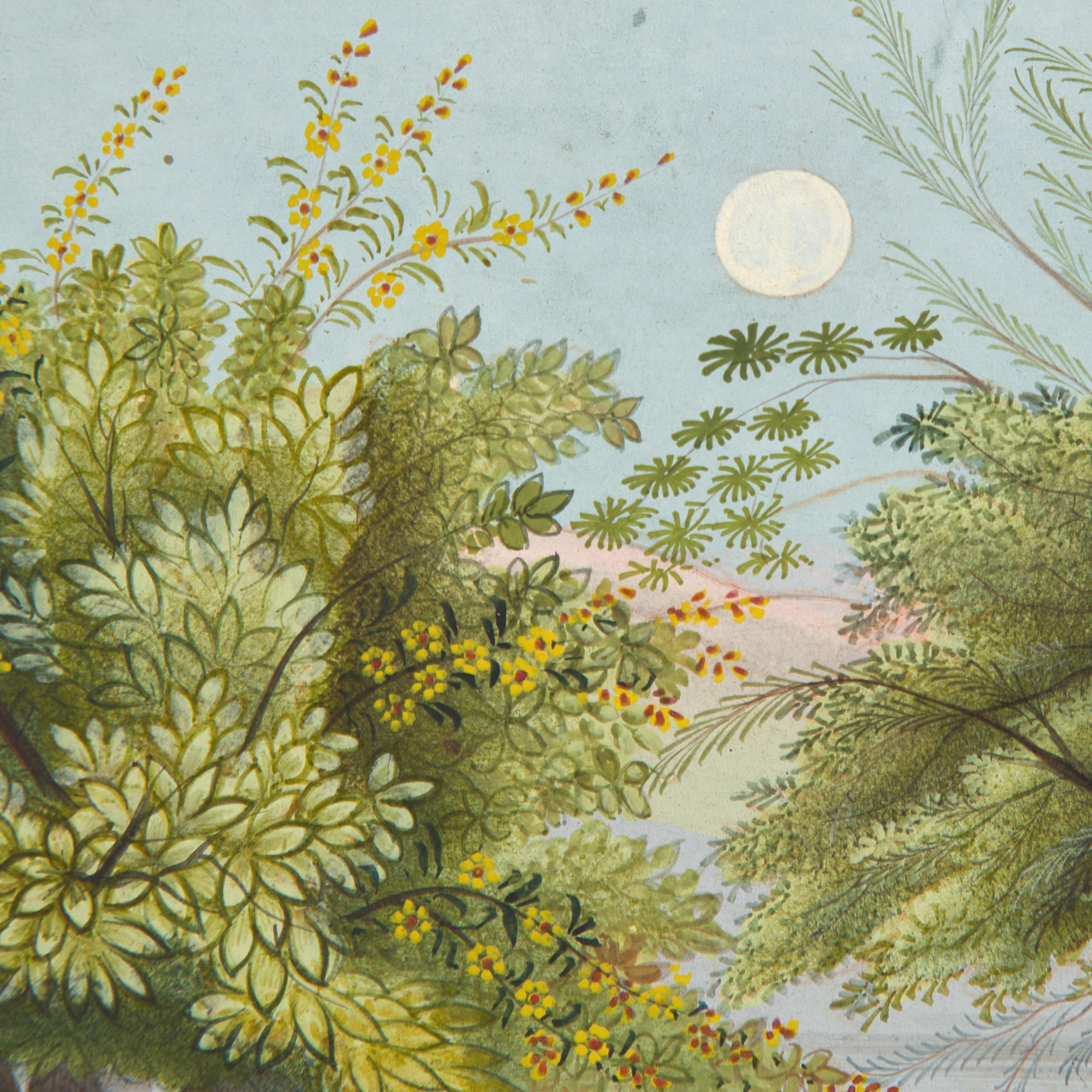 A Painting of The Gopis Search for Krisha in a Moonlit Forest, Pahari (Himalayan foothill) Idiom, Probably Himachal Pradesh, India, 20th Century