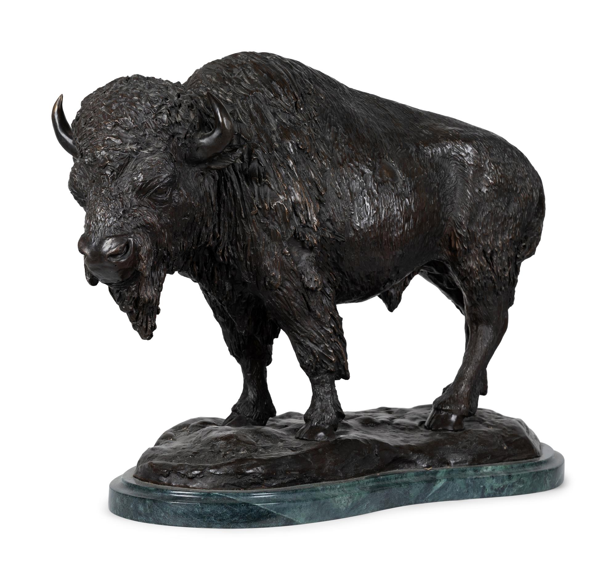 American Bison , edition 6/30