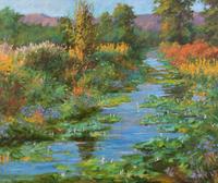 Wyoming Marshlands