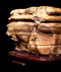 Six Chinese Scholar's Rocks