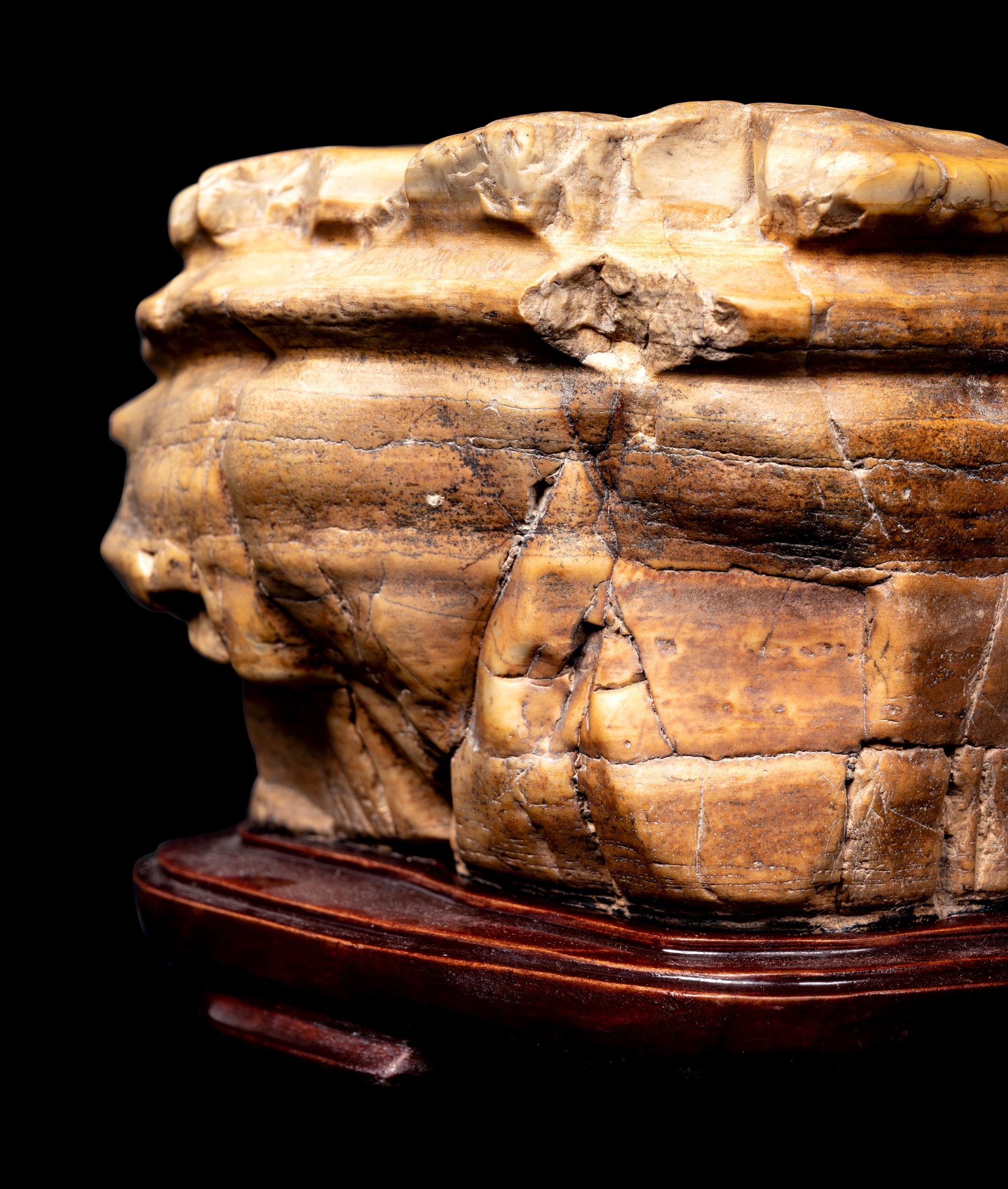 Six Chinese Scholar's Rocks