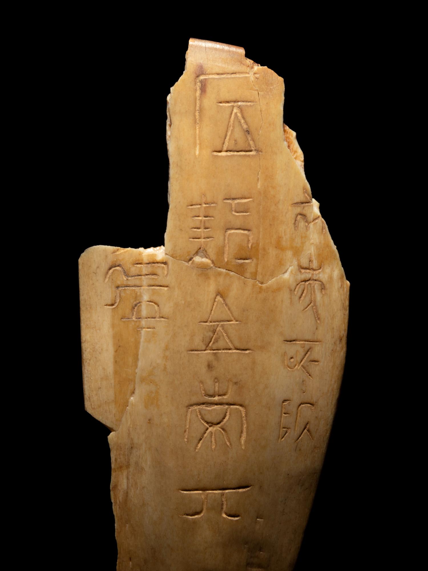 Four Oracle Bones