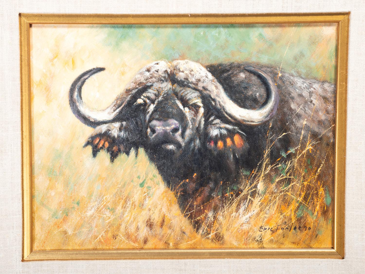 Buffalo Head Study