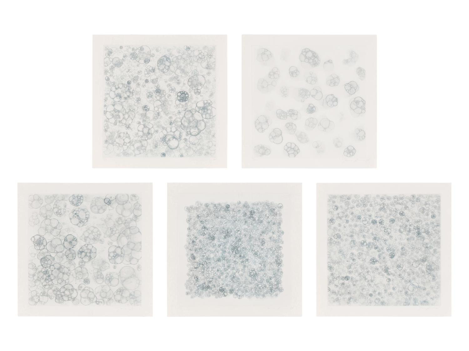 Untitled 1-V (complete set of 5), 2004
