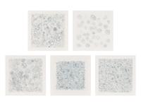 Untitled 1-V (complete set of 5), 2004