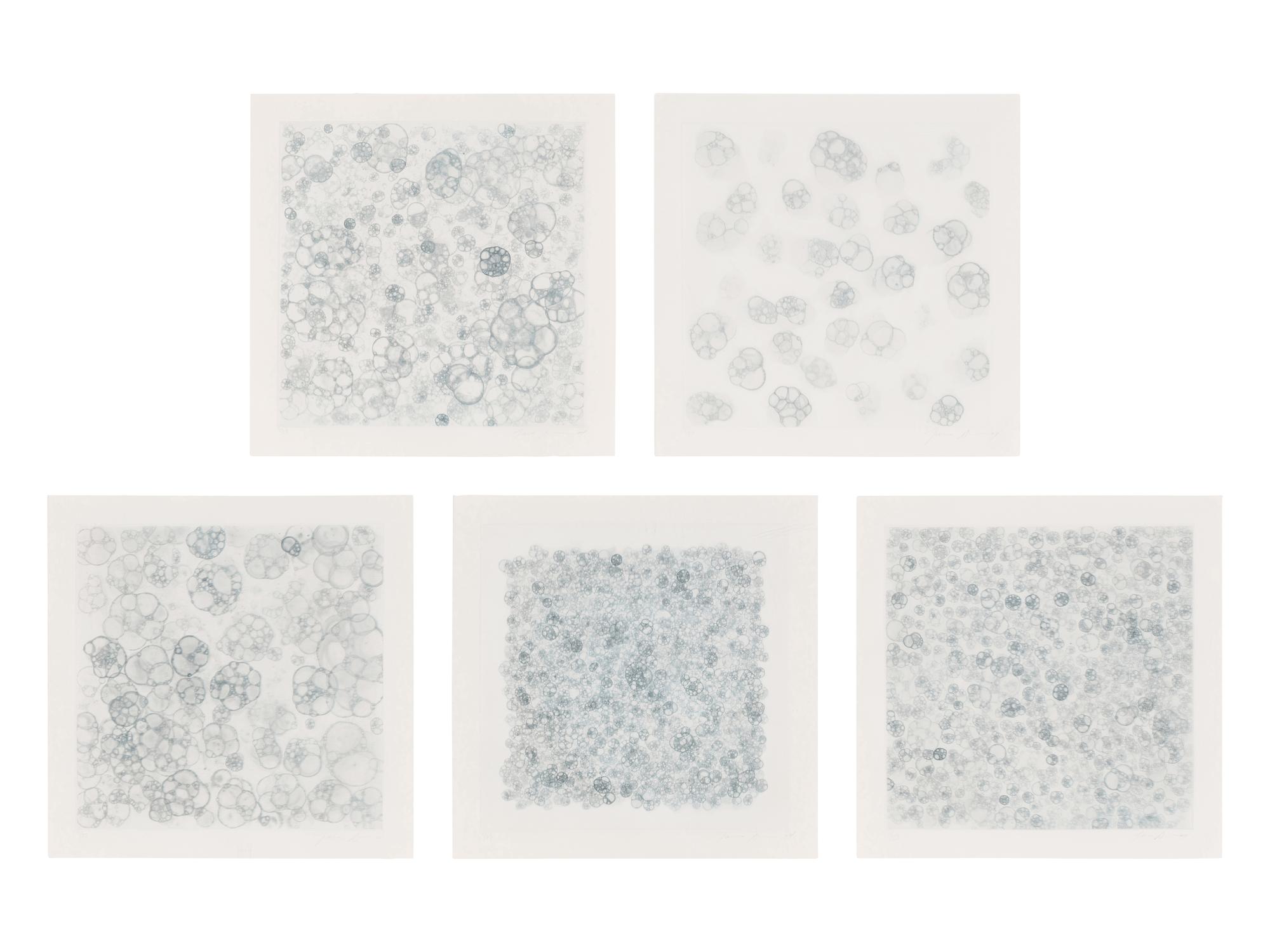Untitled 1-V (complete set of 5), 2004