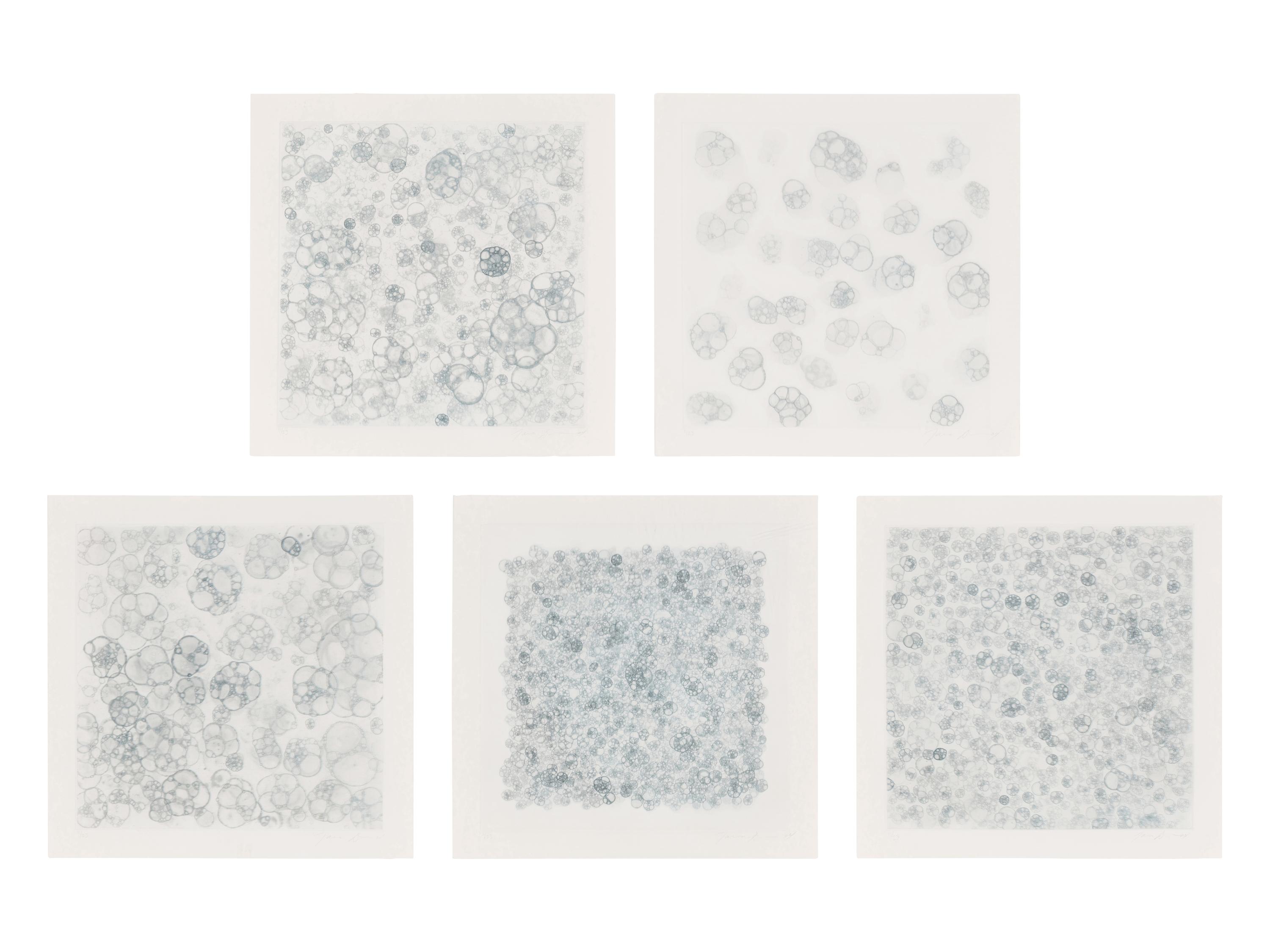 Untitled 1-V (complete set of 5), 2004